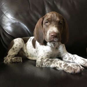 Ruby