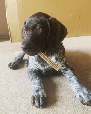 Hunter
